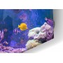 Crédence de cuisine fonds marins indigo, violet avec poisson et coraux